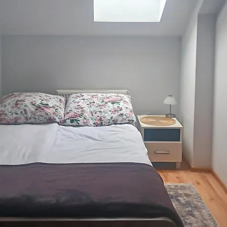 公寓 1 Bedroom Awesome In 达洛科