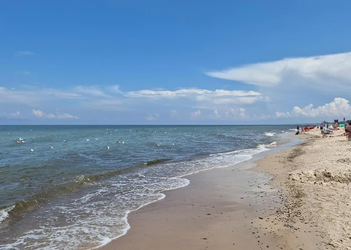 1 Bedroom Awesome In Appartement